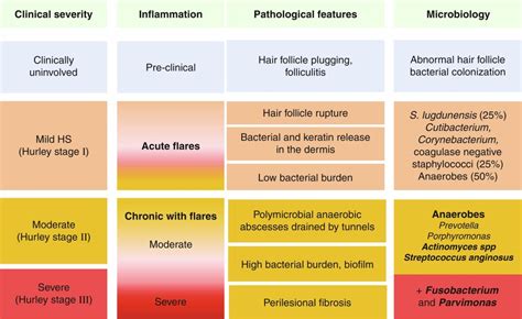 Systemic Antibiotics in Hidradenitis Suppurativa | Plastic Surgery Key