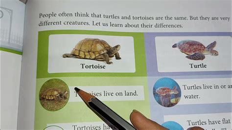 Class 3 English Reader Lesson 9 Tortoises And Turtles Tortoise And