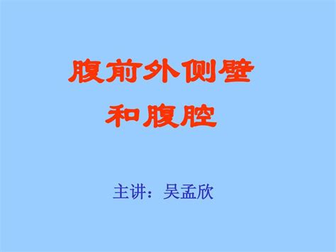 腹部解剖word文档在线阅读与下载无忧文档