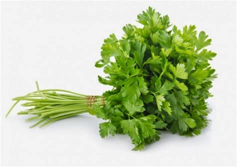 Medicinas Alternativas Apio Poderoso Remedio Natural Para Tratar