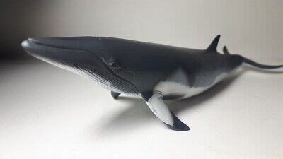 2019 NEW CollectA Animal Toy / Figure Minke Whale 4892900888620 | eBay