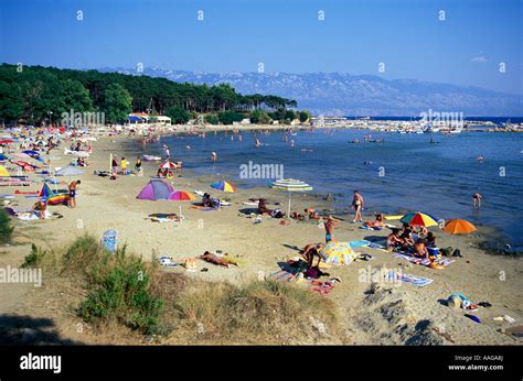 Paradise Beach Lopar Rab Island Bay Of Kvarner Croatia Stock Photo Alamy