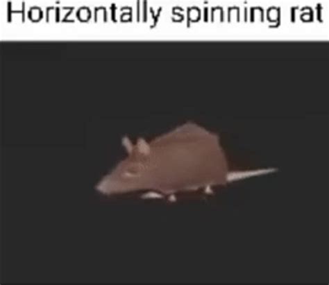 Horizontally Spinning Rat By Aquasit