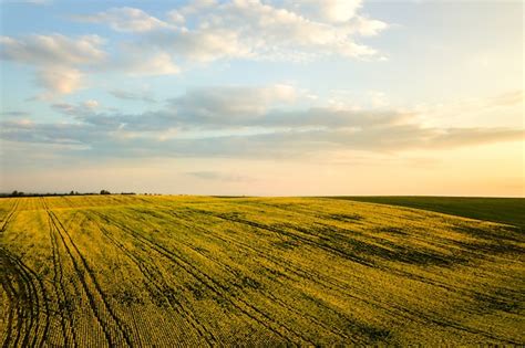 Premium Photo Aerial View Of Bright Green Agricultural Farm Field