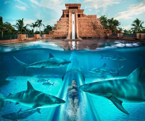 The Coral Tower Atlantis Bahamas – Travelin with Theresa