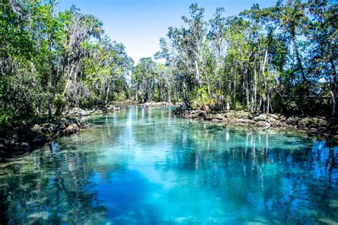 9 Great Things to Do in Crystal River (including manatees!) - Travel ...