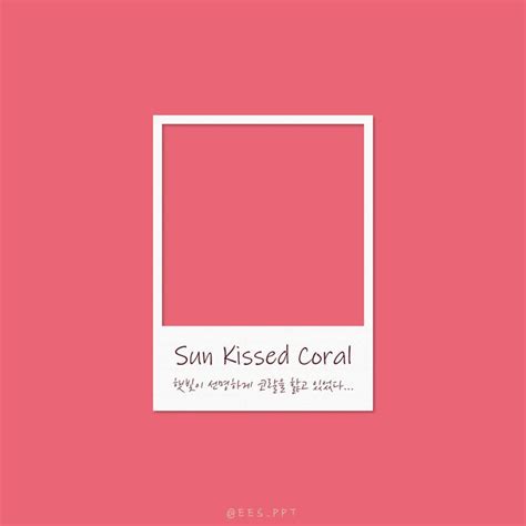 Sun kissed Coral pantone color 색 이름 색 색깔