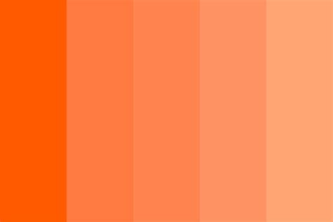 Sunset Orange Paint Color