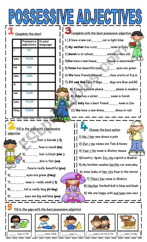 Possessive Adjectives Esl Worksheet By Vampire Girl 22 Engelsk