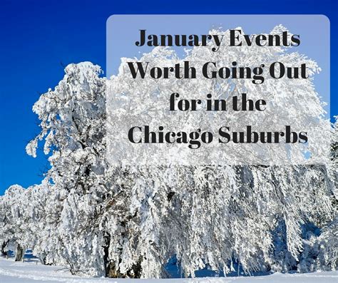 A Little Time and a Keyboard: Chicago Suburban January Events Worth ...