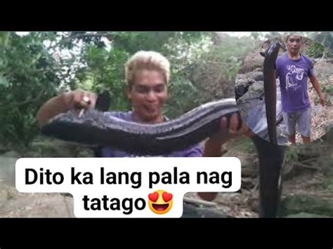 Hindi Namin Inaasahan Na Ganitong Kalaki Ang Mahuhuli Nmin Dito Eel