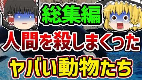 【総集編】【作業用】動物たちが起こした恐ろしすぎる事件まとめ【ゆっくり解説】 Youtube