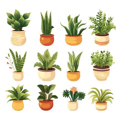 Premium Photo A Set Of Nine Different Types Of House Plants In Pots