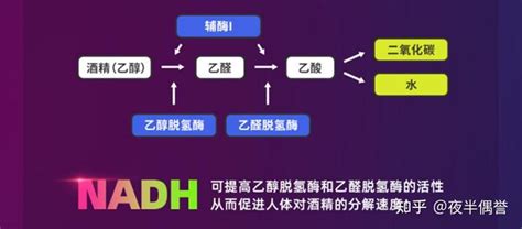 解酒利器，sober Rush酒魔方，喝醉的烦恼不再有 知乎