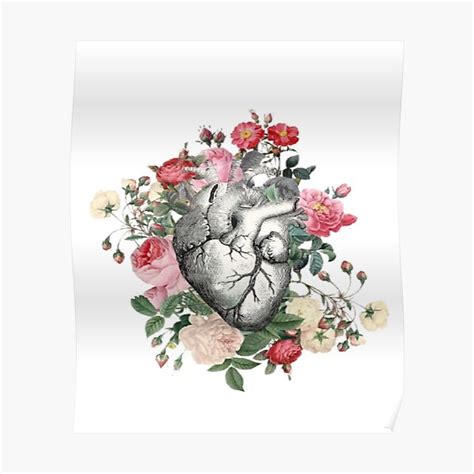 "Vintage Heart Anatomy Classic" Poster for Sale by AloudiDesign | Redbubble