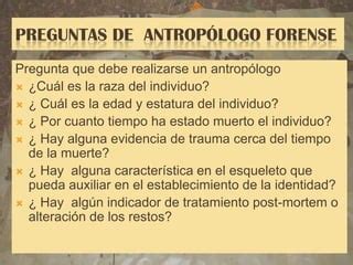 Presentacion De Antropologia Forense PPT