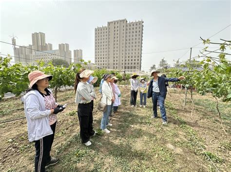 林果花卉研究所开展科技人员实操能力提升活动 甘肃省农业科学院 林果花卉研究所