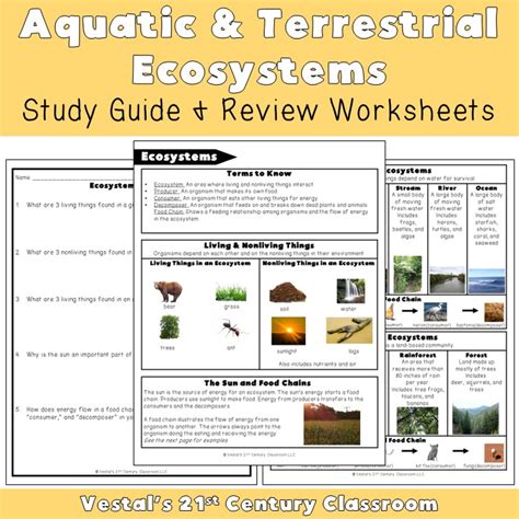 Aquatic And Terrestrial Ecosystems Study Guide Worksheets Library