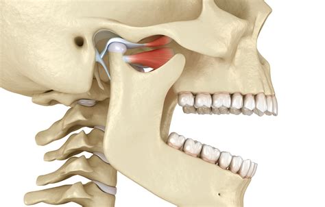 Chirurgie De Larticulation Temporo Mandibulaire ATM Dr Payette