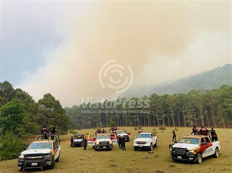 Tamaulipas Combate Incendio Forestal En El Ca N Del Novillo Vista