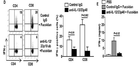 Fucoidan Promotes Antigen Specific T Cell Immune Responses Cancer And