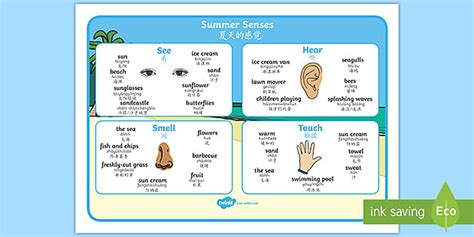 Summer Senses Word Mat English Mandarin Chinese Pinyin