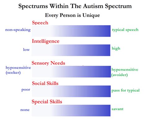 Introduction to Autism - Autism Spectrum Explained