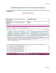 Lab Wireshark Packet Capture Assignment Template Docx Csis Lab