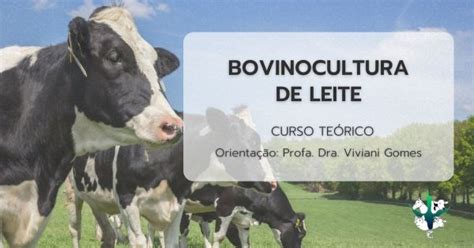 Bovinocultura De Leite Online Sympla