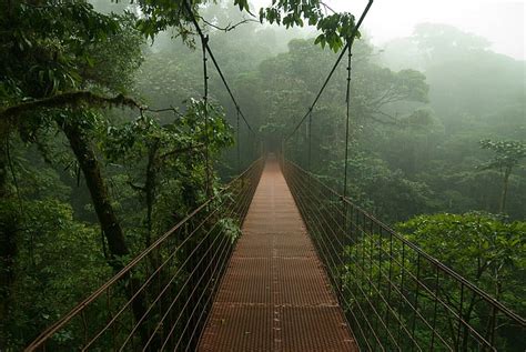 HD wallpaper: costa rica, la paz waterfall, forest, river, rainforest ...