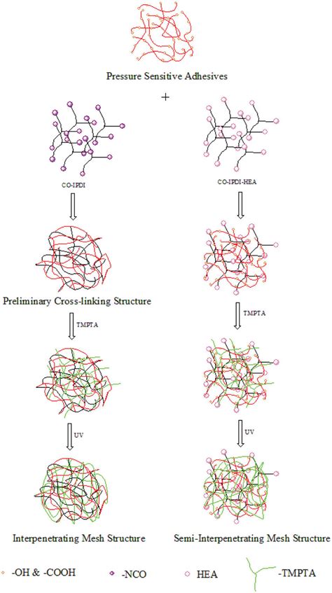 The Schematic Representation Of Uv Curing Process For Adhesives