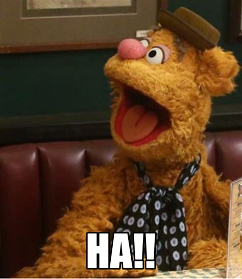 Fozzie Bear Meme