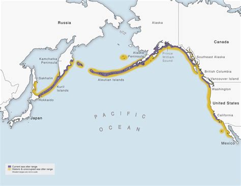 Current Purple And Historic Yellow Sea Otter Range Download