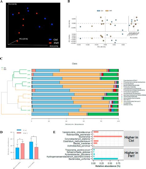 Fecal Microbiota Transplantation FMT Shifts Gut Microbial Composition