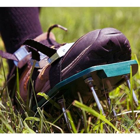 AREATOR Aerator Kolce na 2 Buty do Napowietrzania - ERLI.pl