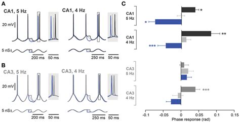 Frequency Dependence Of Spike Phase Control Recorded At Hz And Hz