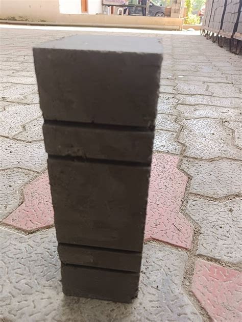 Eco Friendly Fly Ash Bricks In X In X In At Rs In