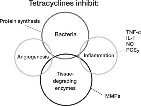 Mechanisms of action of tetracyclines. Tetracyclines ha | Open-i