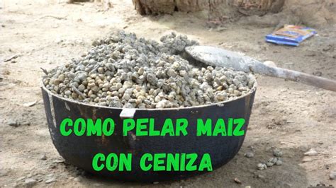 Como Pelar El Ma Z Con Ceniza Para Mote Revelamos Nuestro Secreto