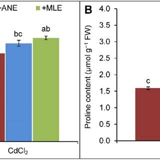 Effect Of Cadmium Stress And Supplementation Of Ane Or Mle On The