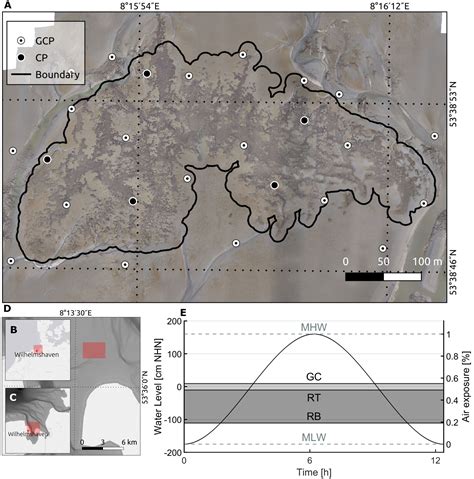 Frontiers Low Cost Uav Monitoring Insights Into Seasonal Volumetric