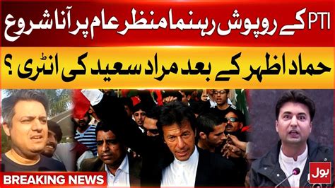 Pti Leader Hammad Azhar And Murad Saeed Come Out Imran Khan Bif Order