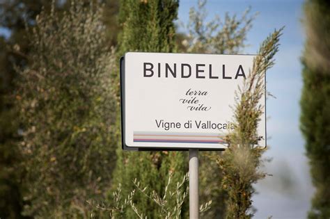 Bindella Tenuta Vallocaia Winery In Tuscany Winetourism