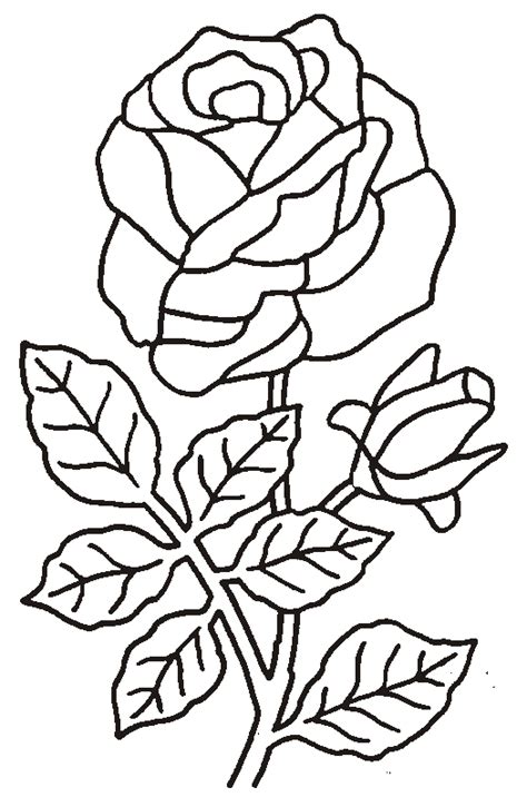 Coloriage Roses 35 Nature Coloriages à imprimer