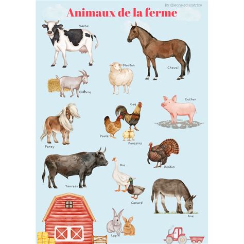 Poster Les Animaux De La Ferme Poster Animaux Okgo Net