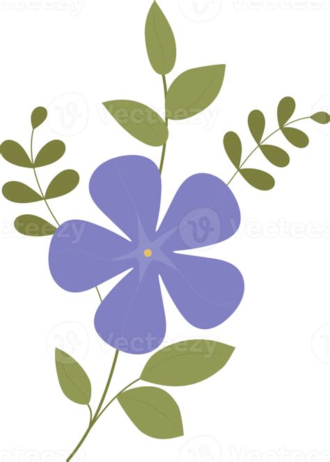 Blooming Purple Periwinkle Flower Vinca Minor With Leaves 11765910 PNG