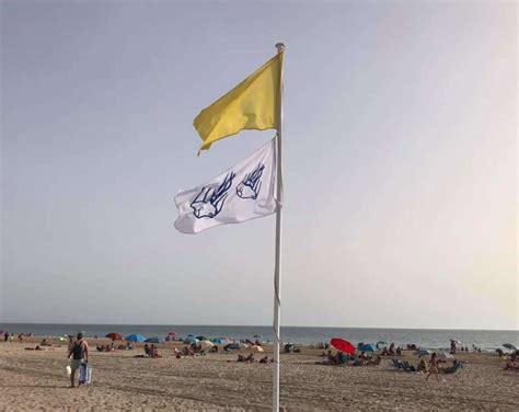 Colocan La Bandera De Medusa En La Playa Isle A De Camposoto Debido A