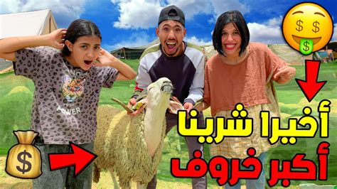 وأخيرا شرينا أكبر خروف للعيد 🐏😍صدمونا الأثمنة بزاف 😱🔥 Youtube