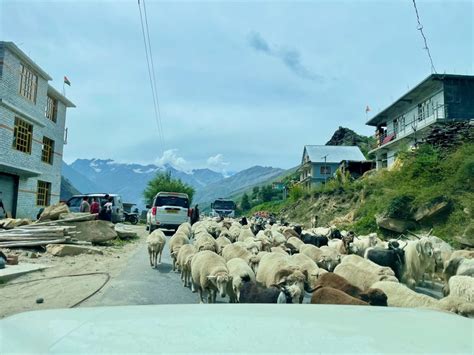 Hitchhiking 260 Miles Over The Himalayas To Tibet South Asia 22