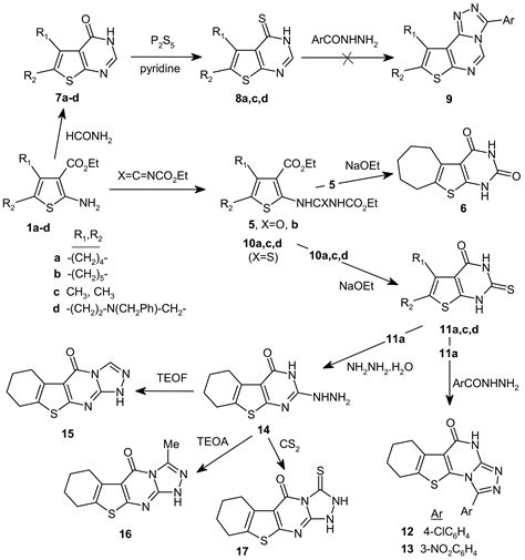 Molecules Free Full Text Synthesis Characterization And Biological